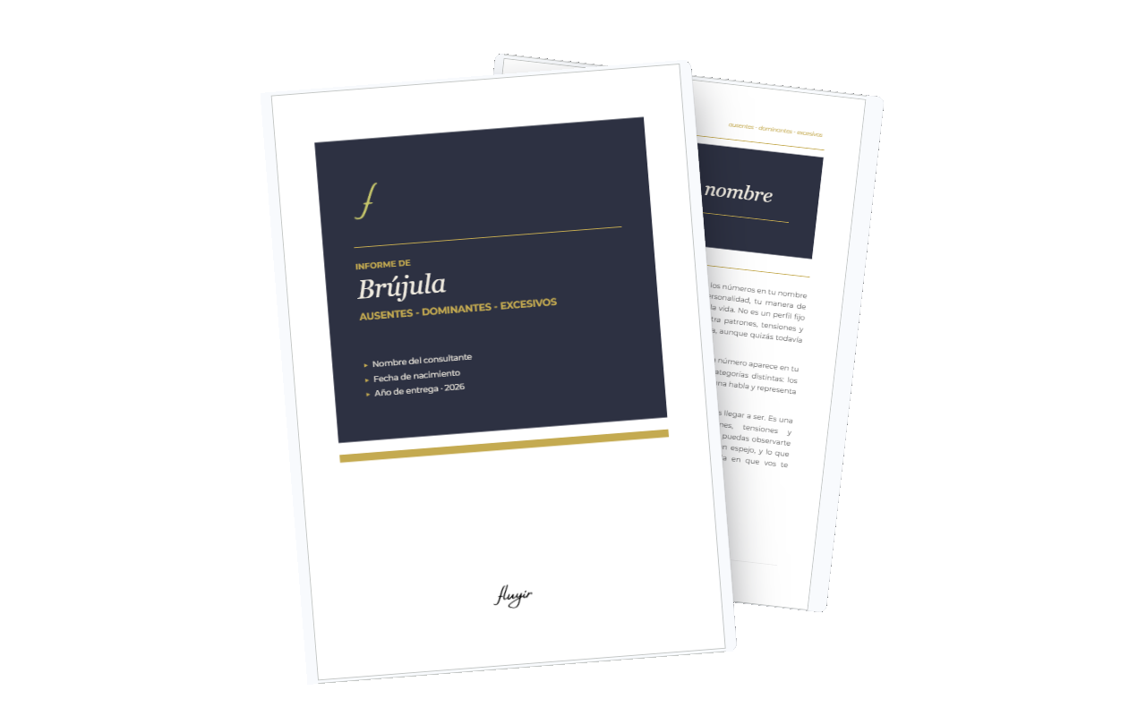 Vista previa del informe
